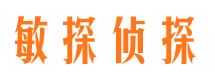 连山私家调查公司